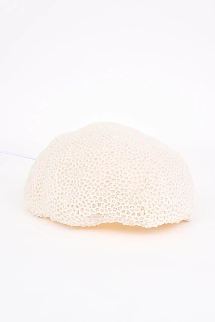 Lámpara de resina con forma de coral