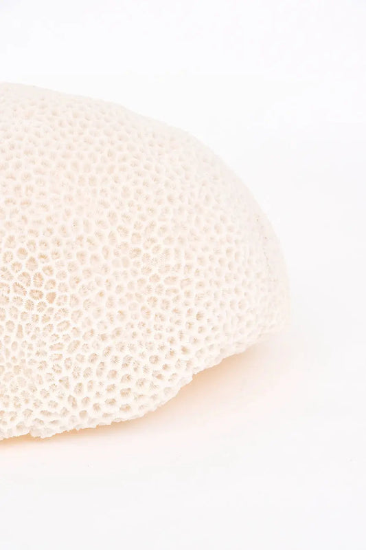 Lámpara de resina con forma de coral