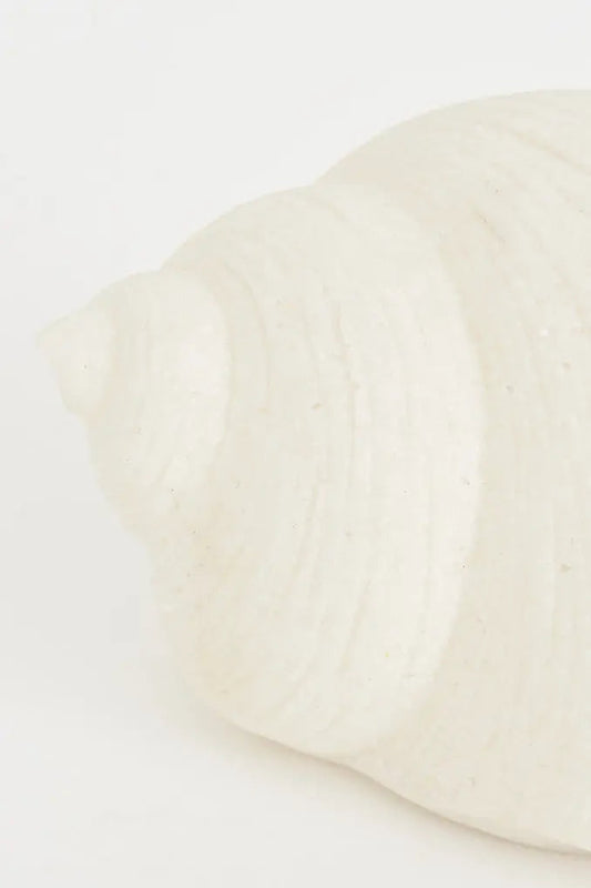 Lámpara en resina con forma de caracola pequeña