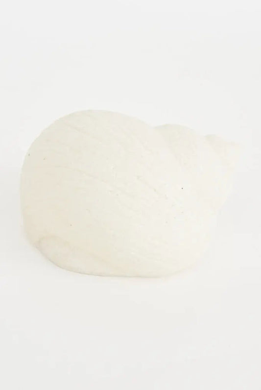 Lámpara en resina con forma de caracola pequeña