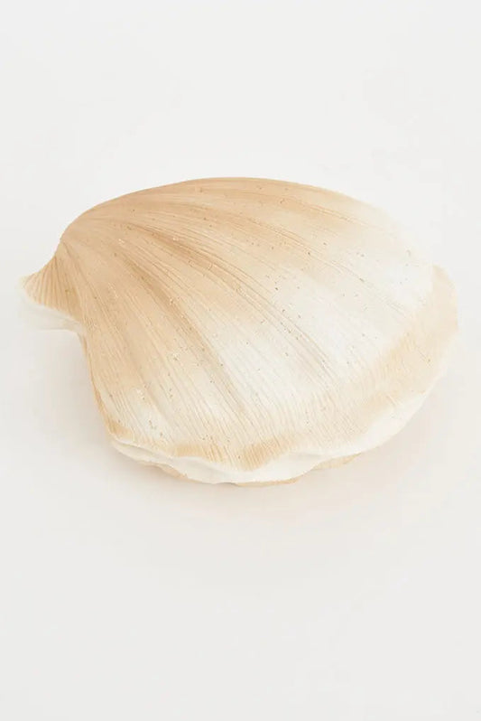 Lámpara en resina con forma de vieira