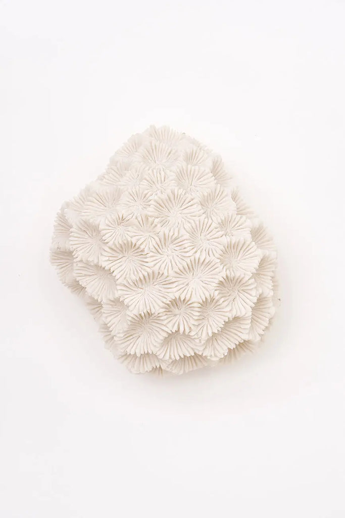 Lámpara silueta de coral