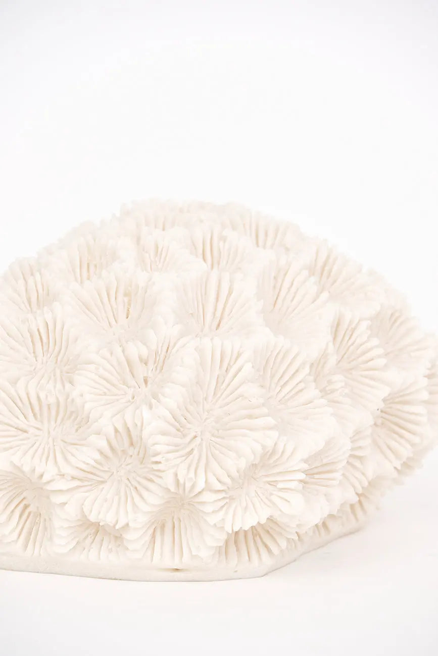 Lámpara silueta de coral