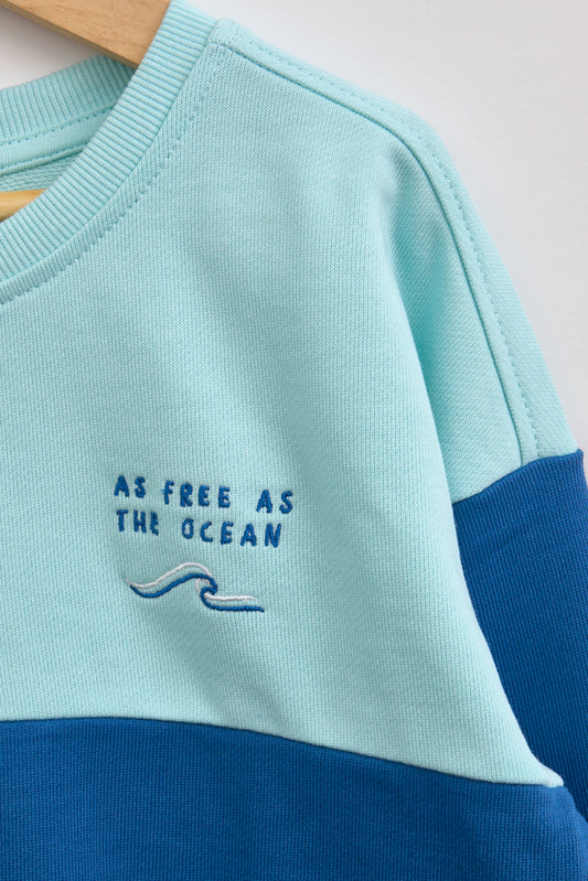 Terry kotoizko bi koloreko jertsea, bordatuarekin