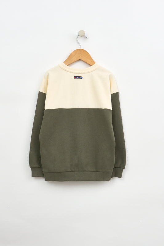 Terry kotoizko bi koloreko jertsea, bordatuarekin