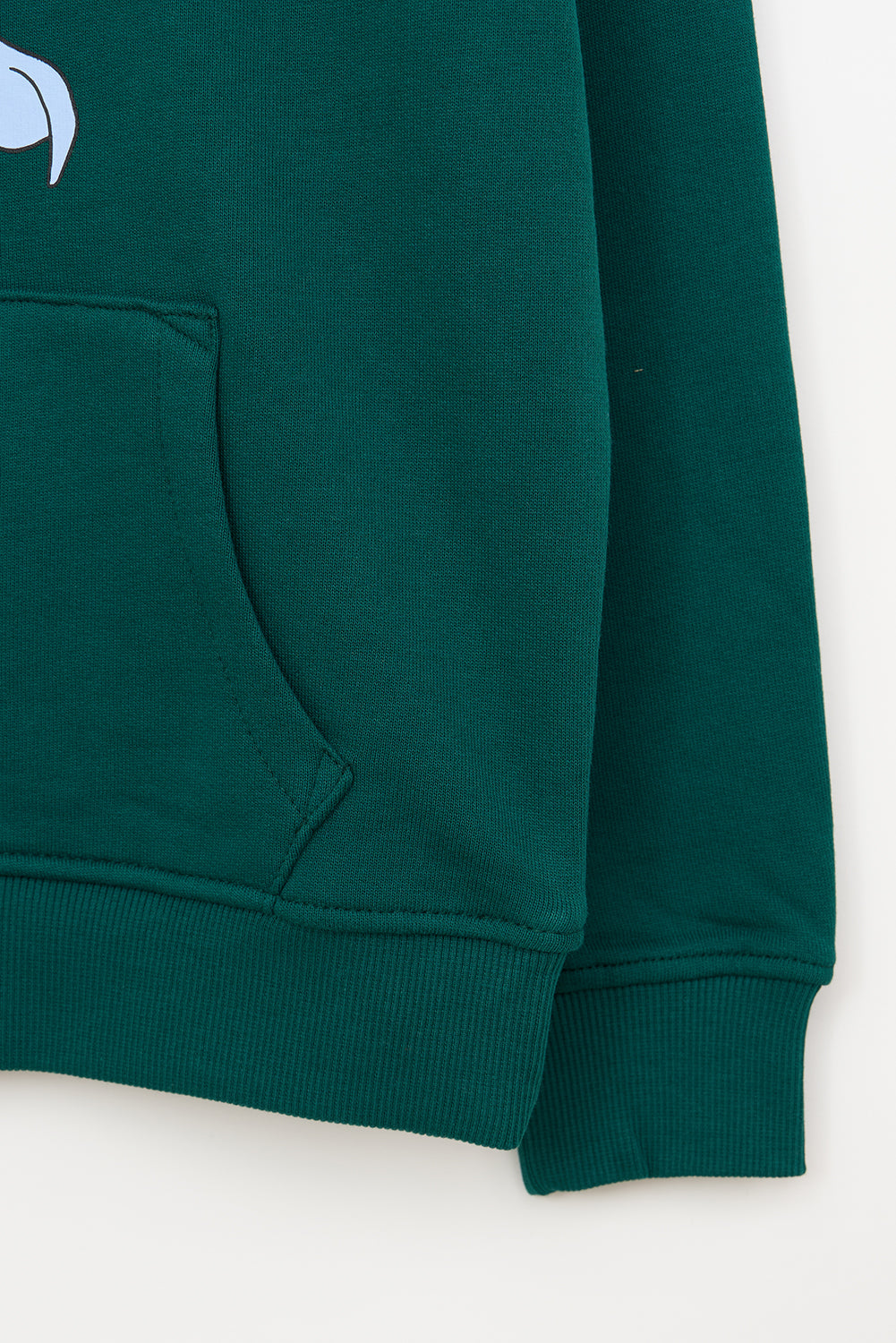 Sweat-shirt à capuche, requin