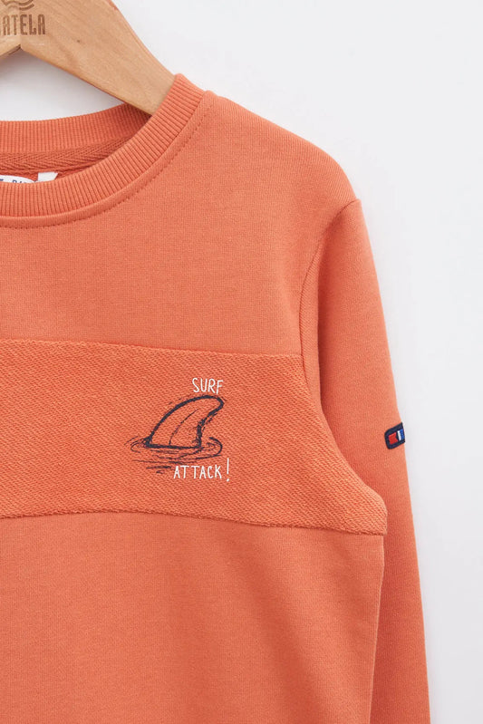 Cotton sweater with surf illustration