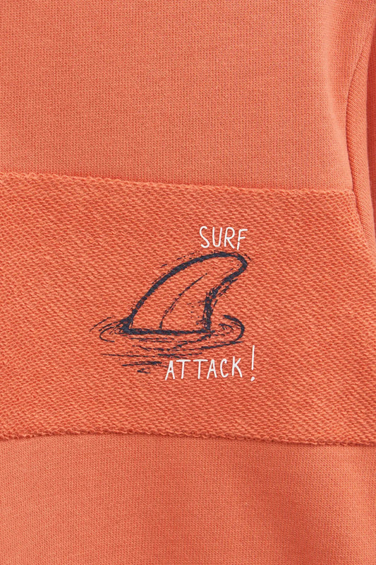 Cotton sweater with surf illustration