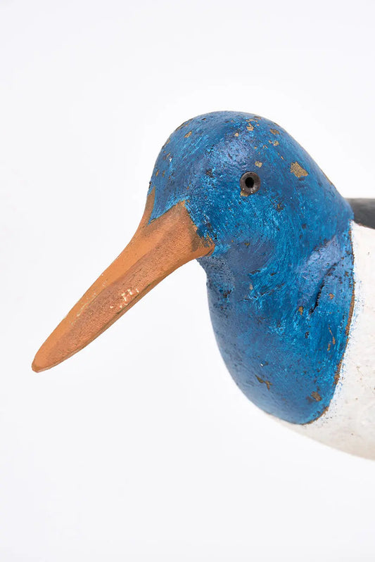 pájaro costero con base