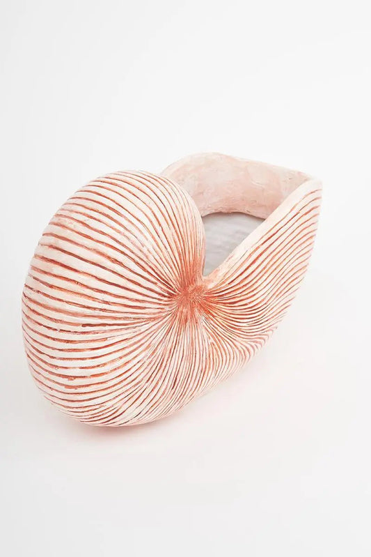 Caracola de resina grande Batela