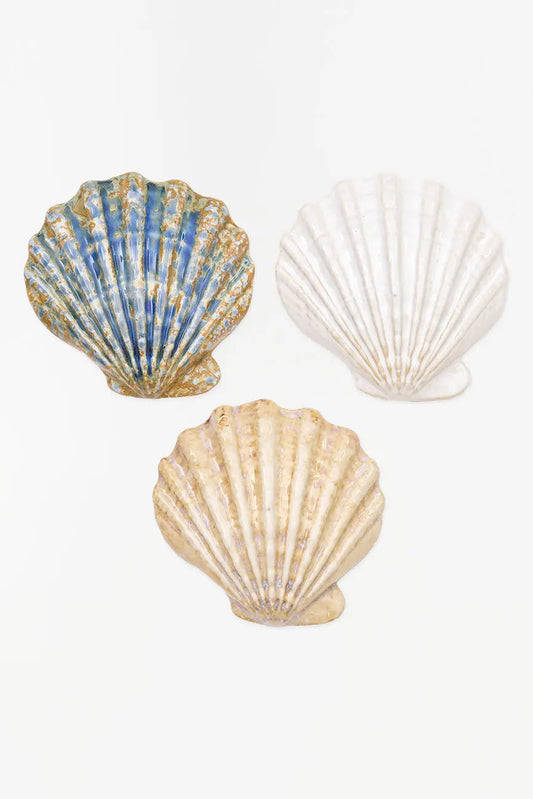 3 cuencos concha de vieira