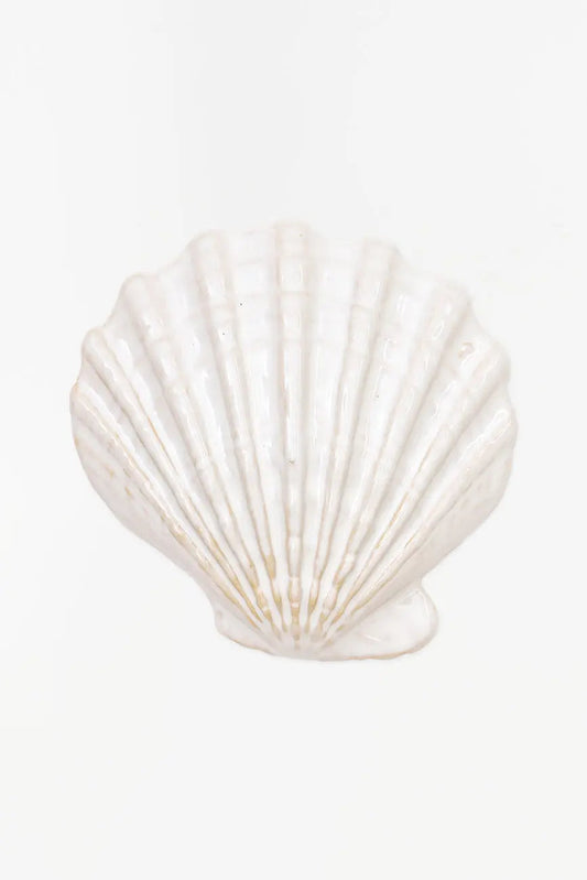 3 cuencos concha de vieira