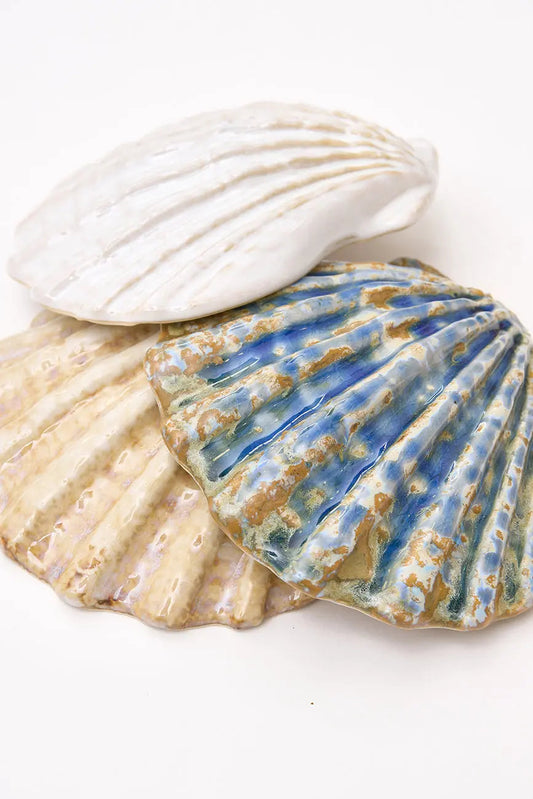 3 cuencos concha de vieira