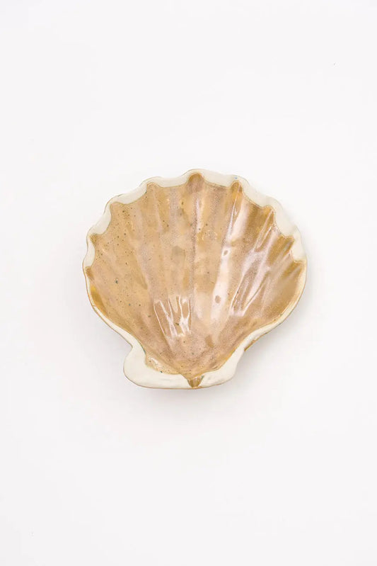 3 cuencos concha de vieira