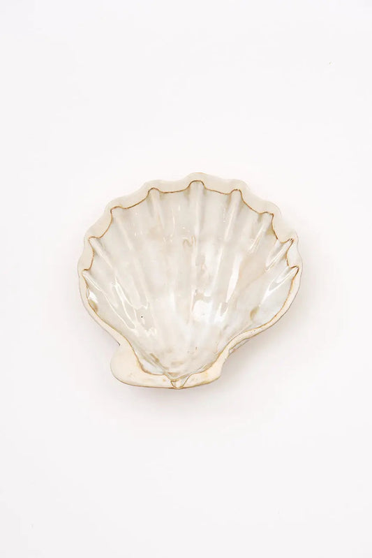 3 cuencos concha de vieira