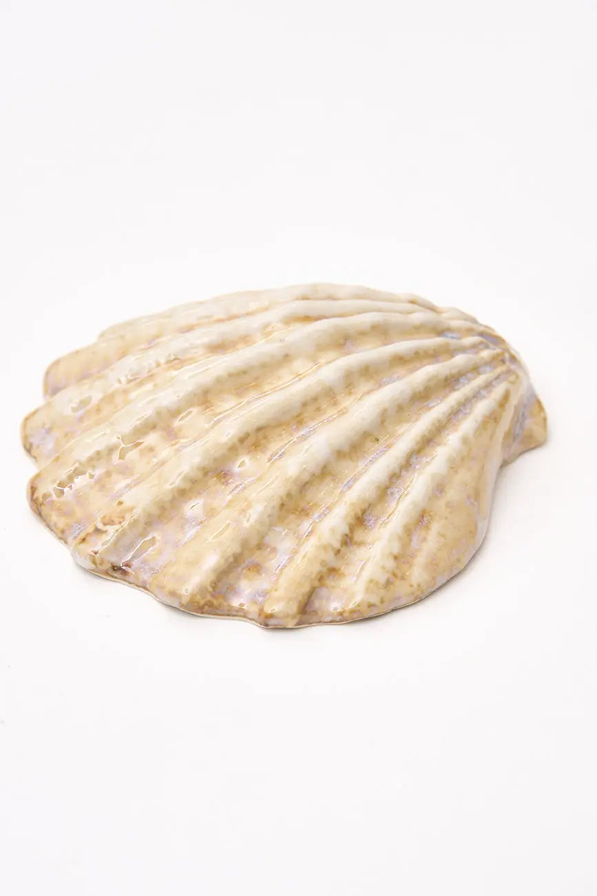 3 cuencos concha de vieira