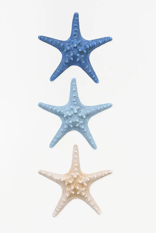 3 estrellas de mar decorativas en resina