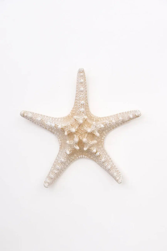 3 estrellas de mar decorativas en resina