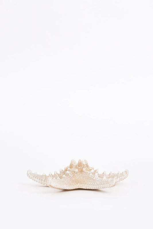 3 estrellas de mar decorativas en resina