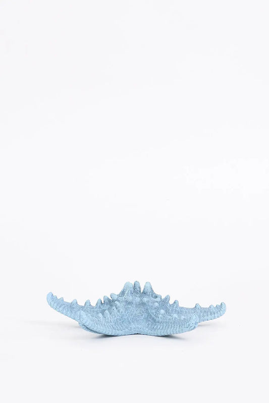 3 estrellas de mar decorativas en resina