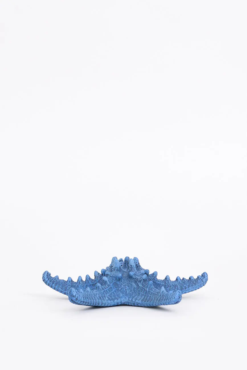 3 estrellas de mar decorativas en resina