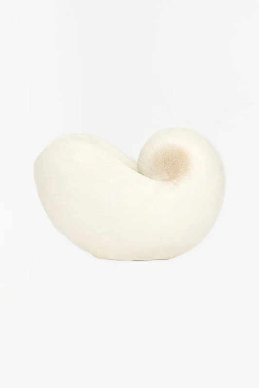 Tiesto con forma de caracola en resina