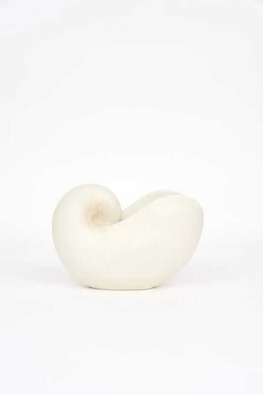 Tiesto con forma de caracola en resina