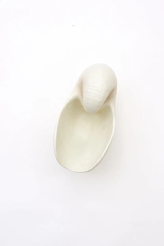 Tiesto con forma de caracola en resina