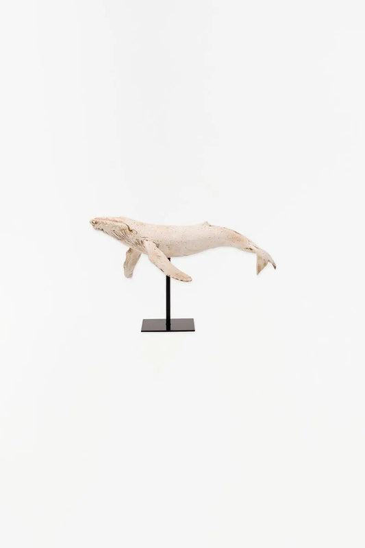 Ballena con base en resina blanca - D1940 Batela