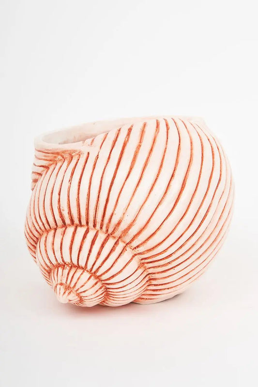 Caracola de resina Batela