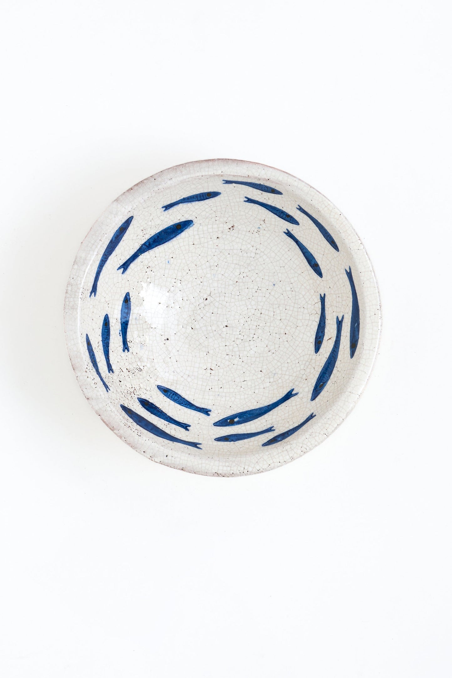 Terrakotazko platera arrain urdinekin