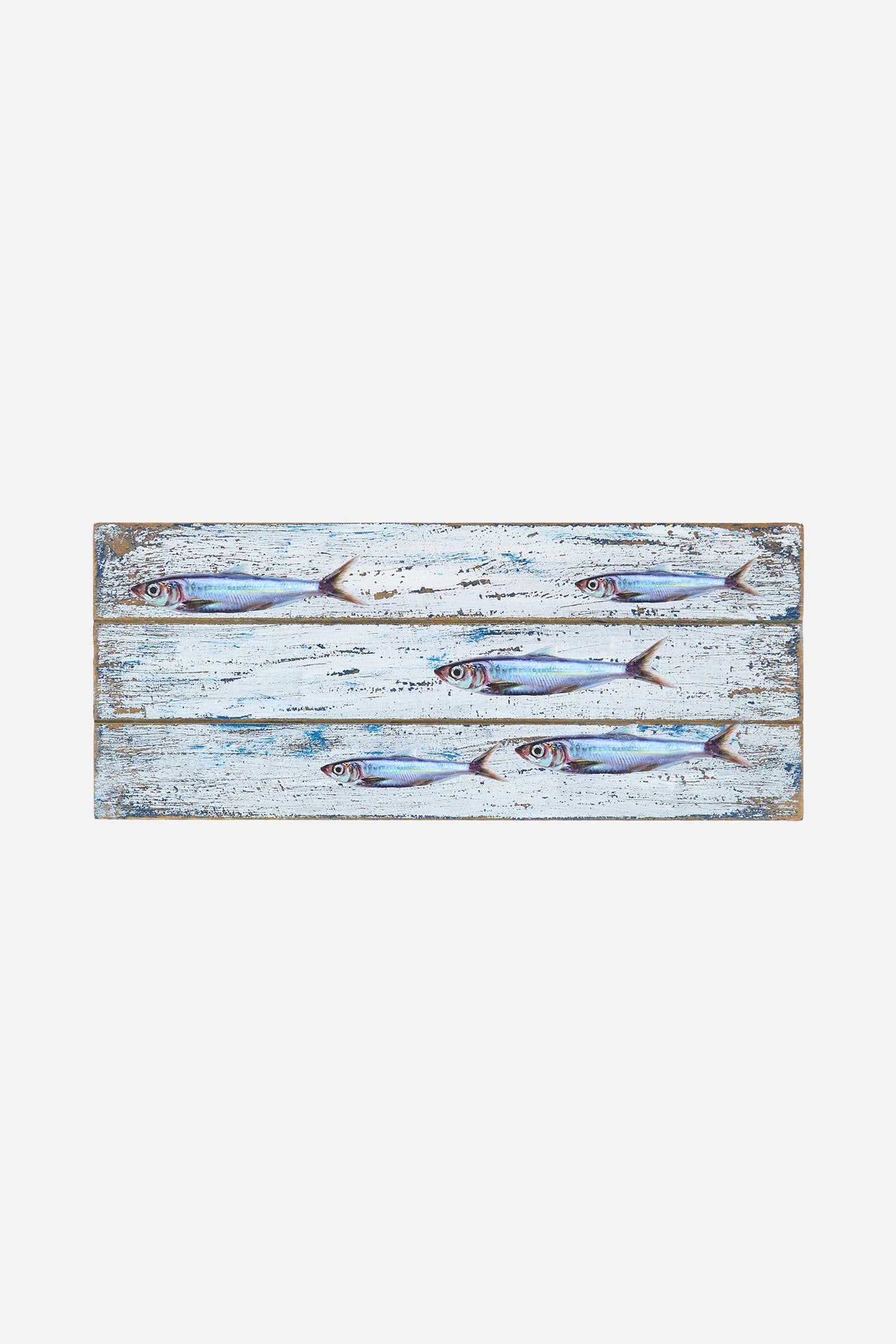 Cuadro de madera con un banco de peces pintado