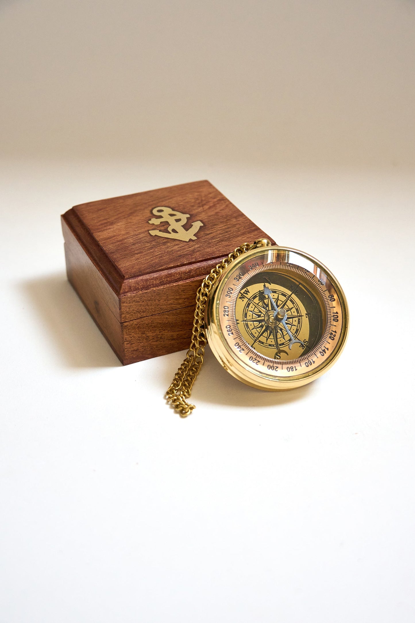 Iparrorratz apaingarri trinkoa