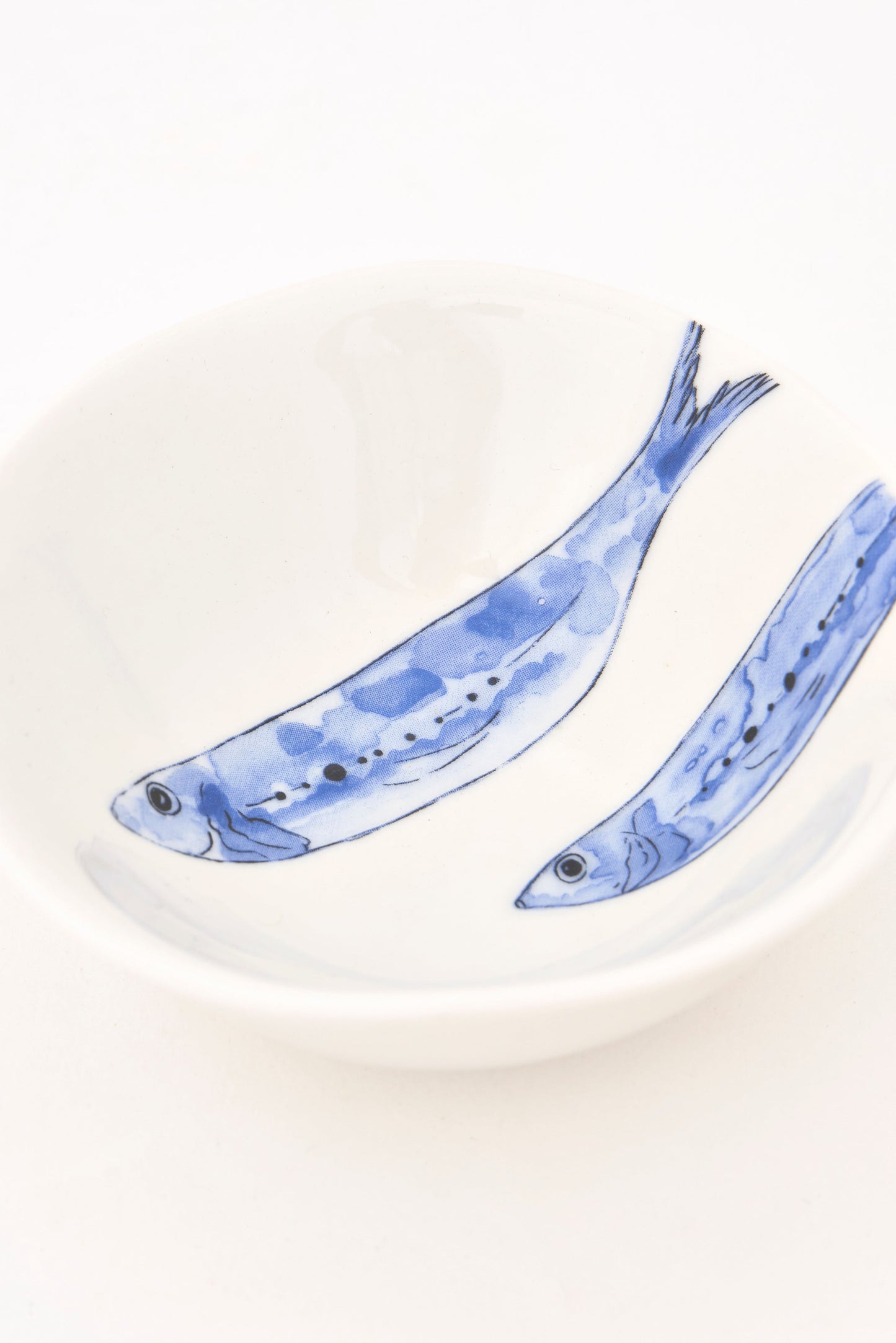 Itsas animalien ontziak (4ko sorta)