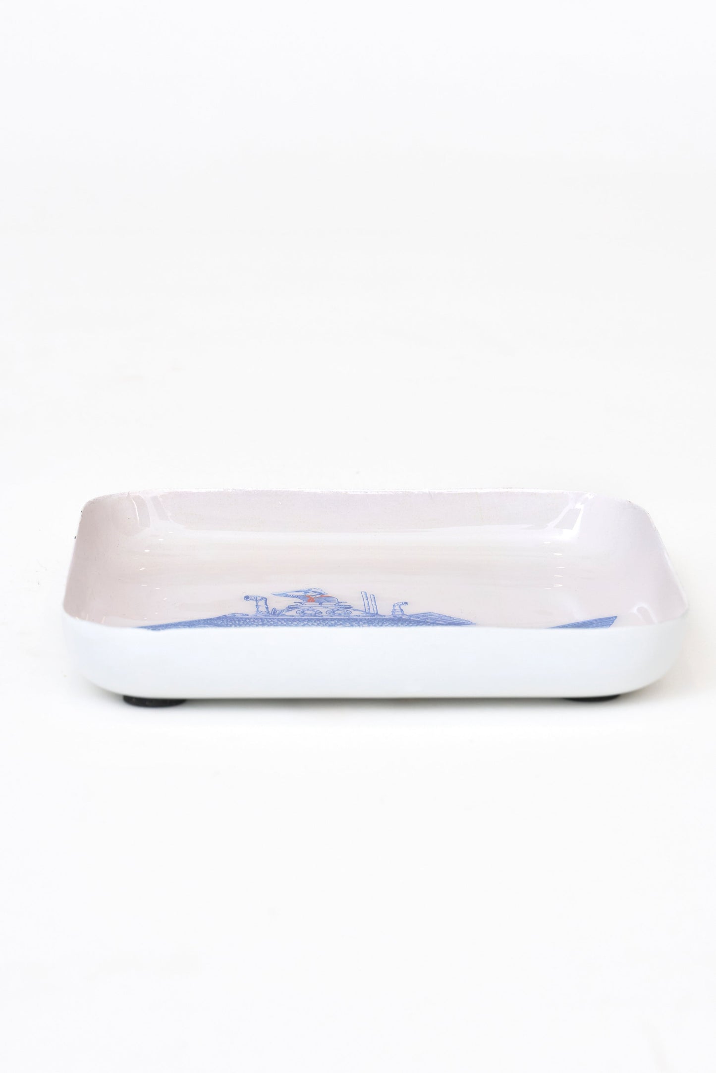 Metal tray with illustrated underwater fish