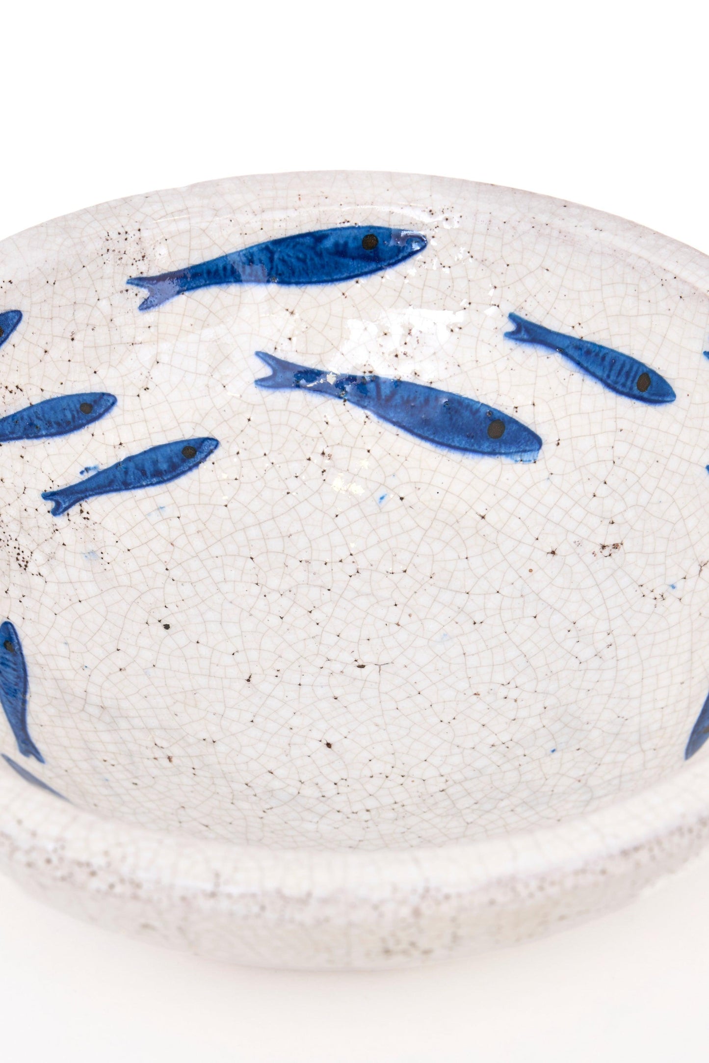 Terrakotazko platera arrain urdinekin