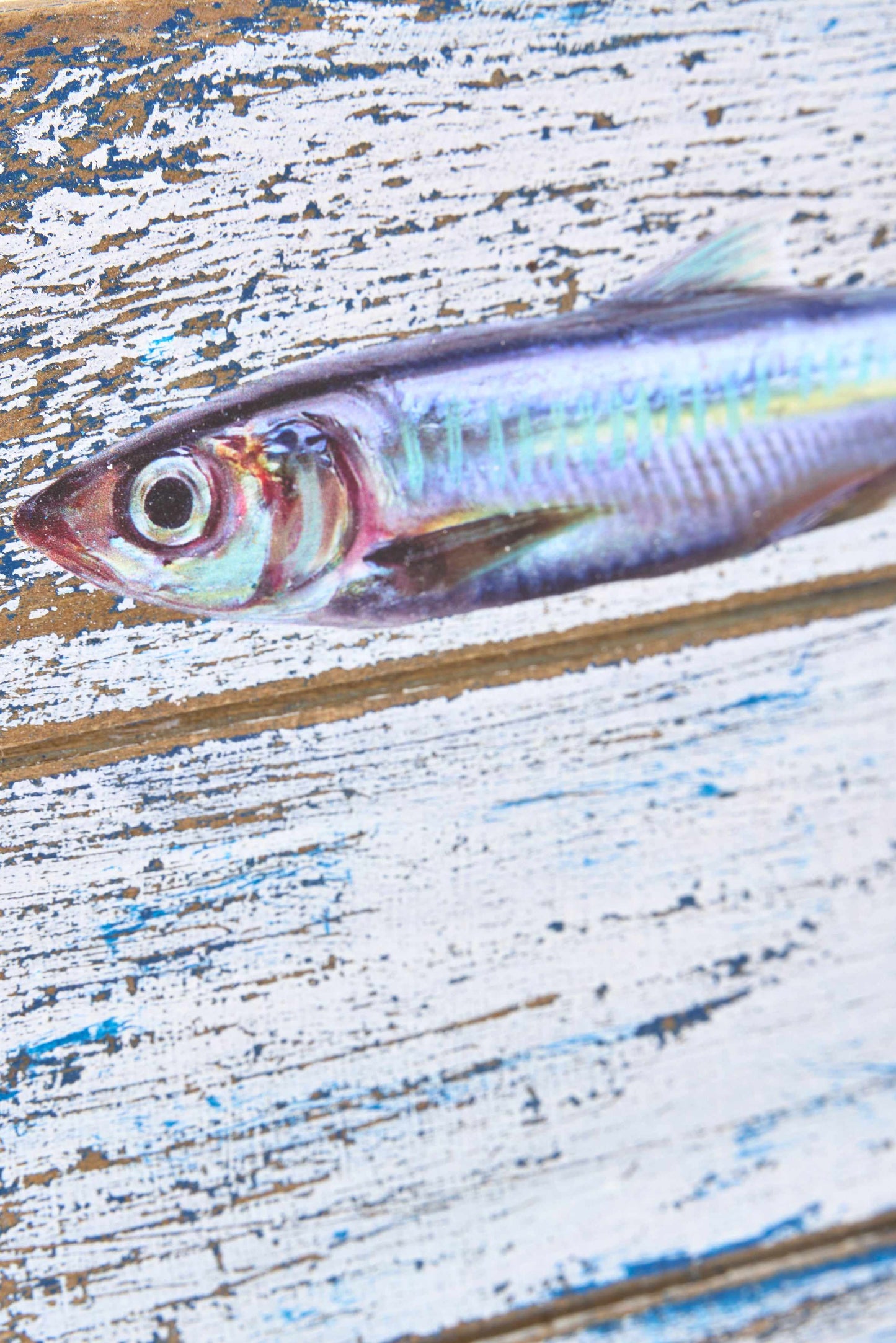Cuadro de madera con un banco de peces pintado