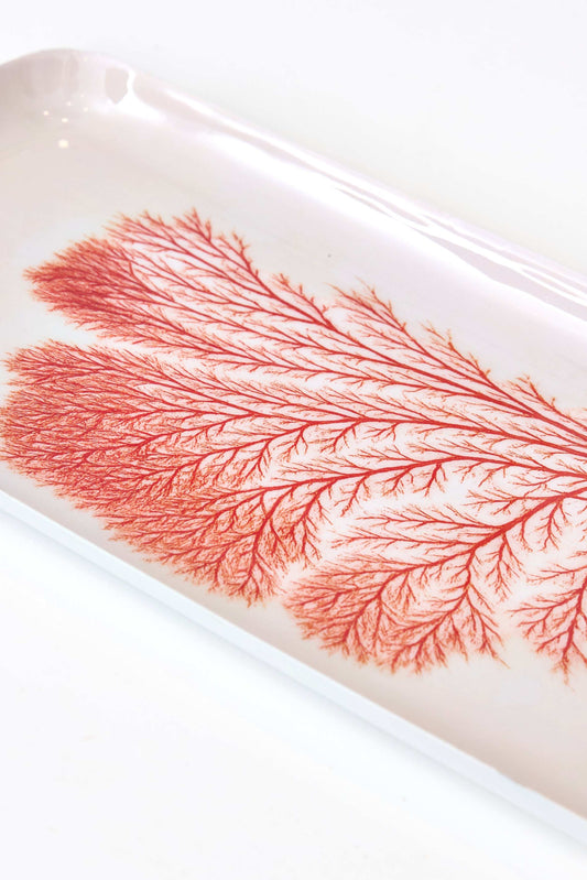 Coral metal tray, red format