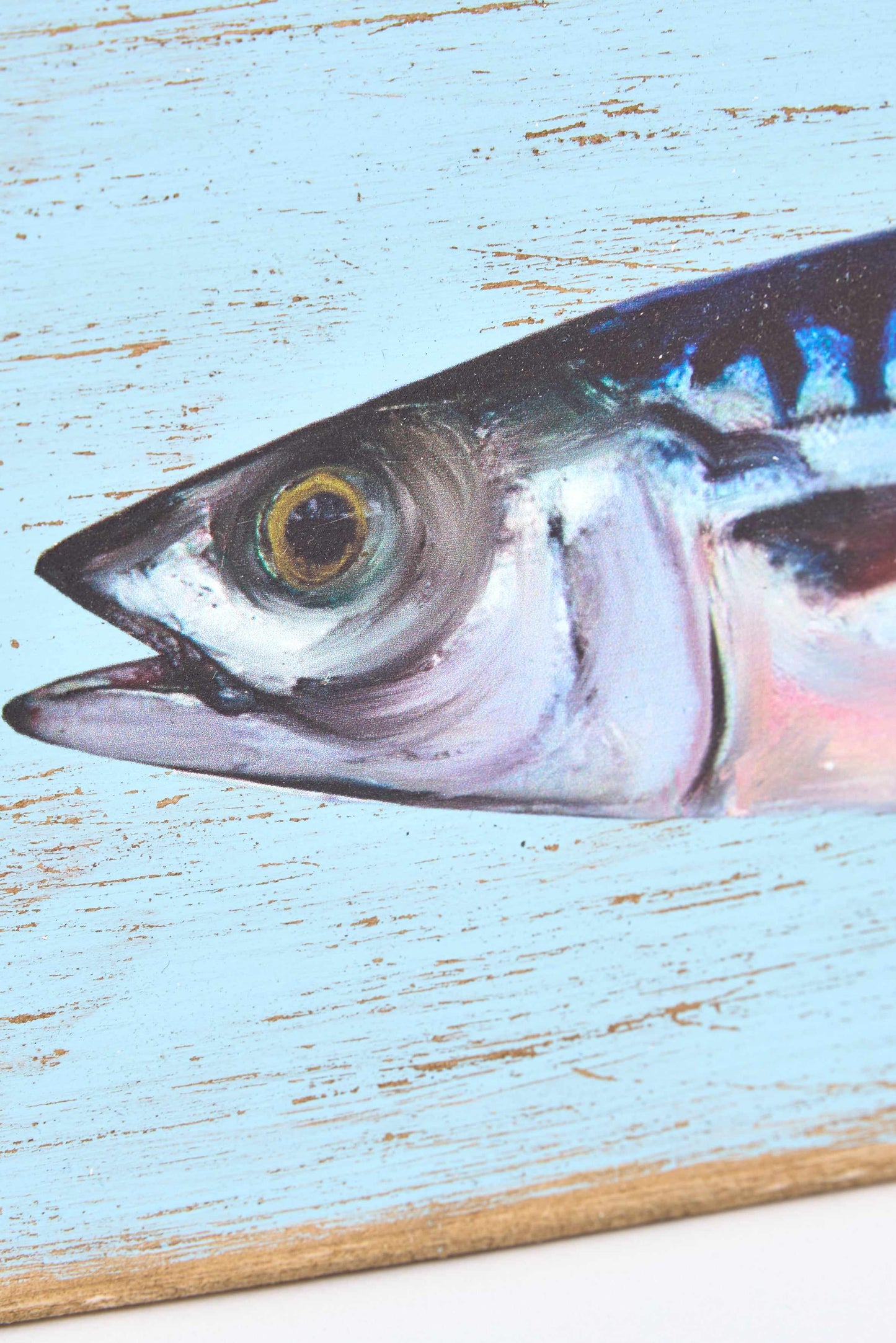 Egurrezko koadroa, margotutako arrain batekin