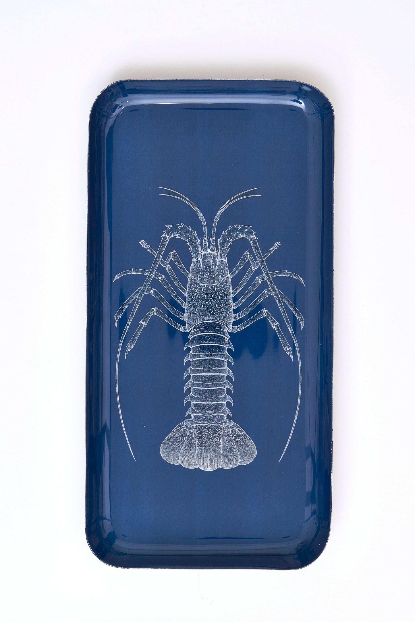 Metalezko erretilua otarrainarekin