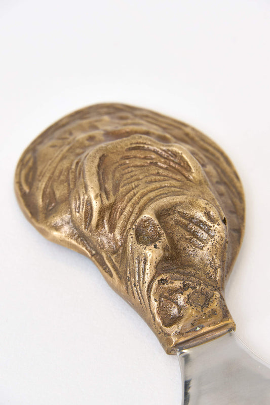 Oyster bottle opener
