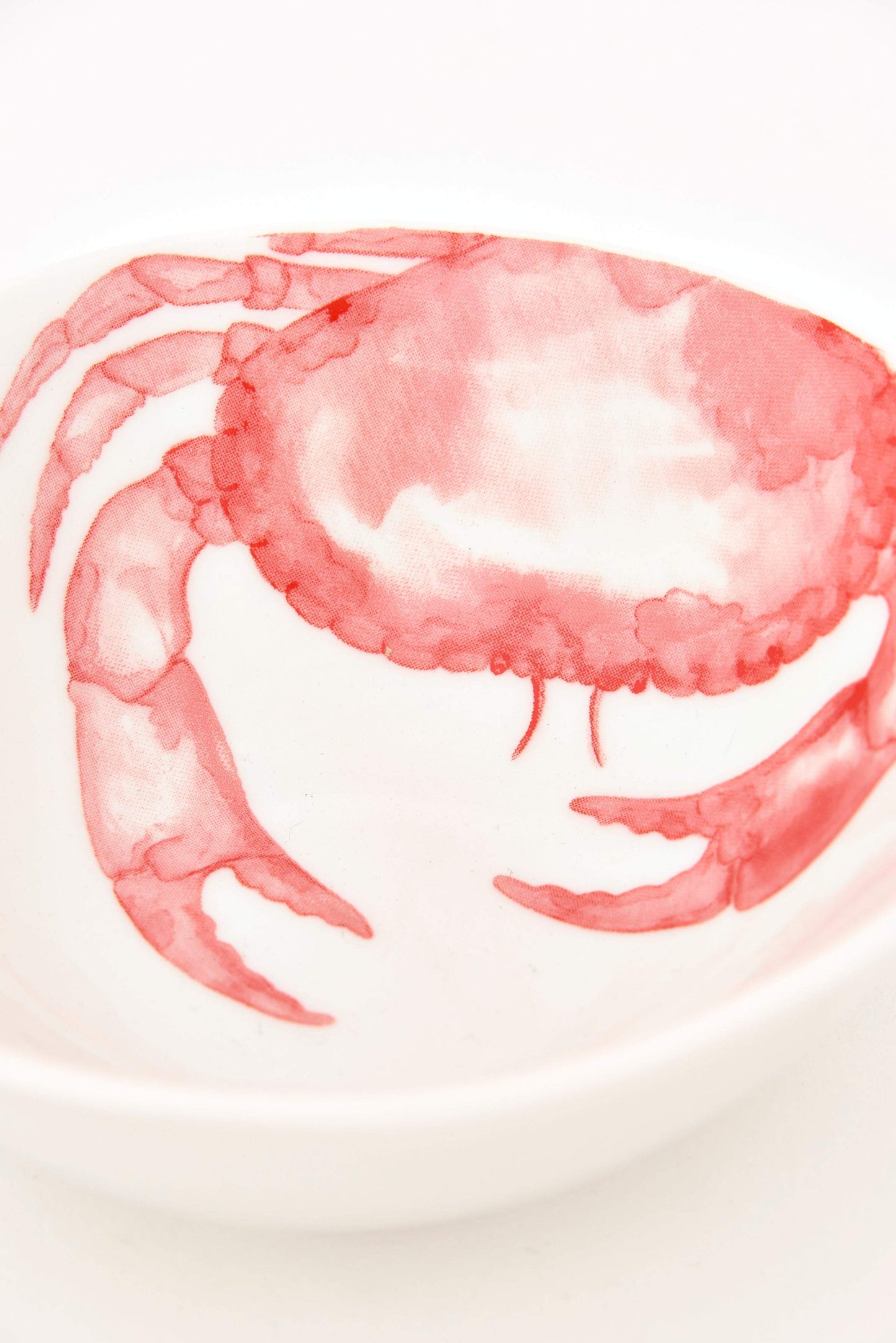 Itsas animalien ontziak (4ko sorta)