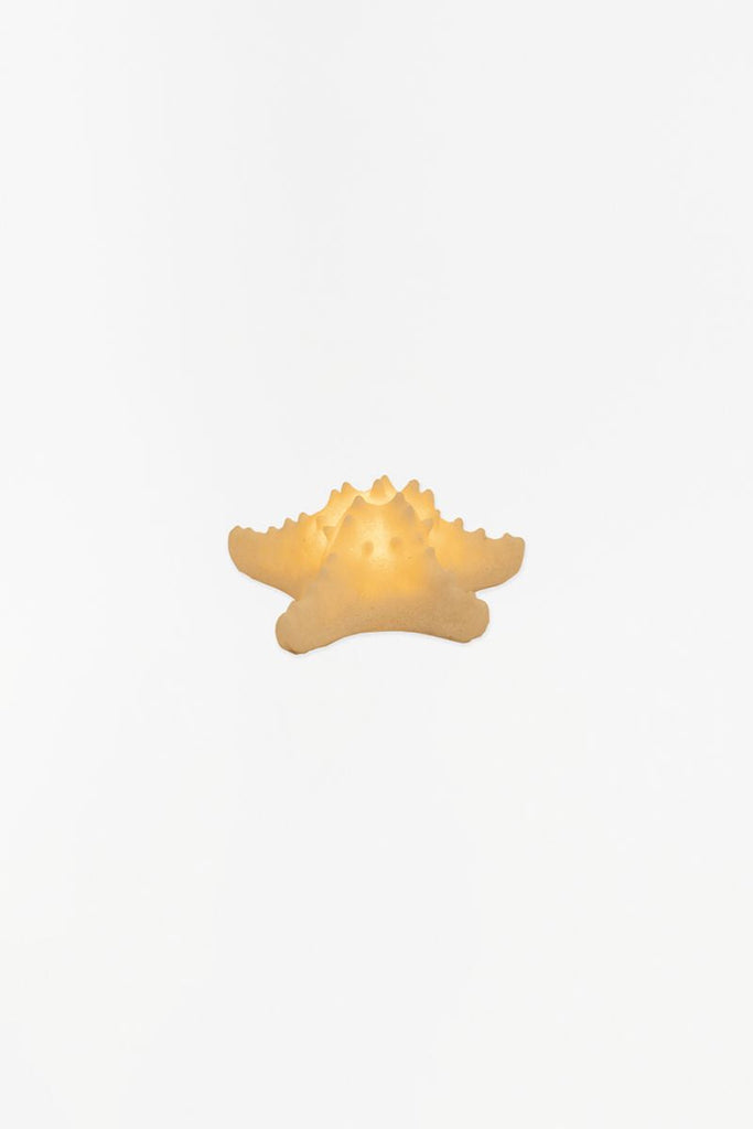 Lámpara con forma de estrella de mar - D1290
